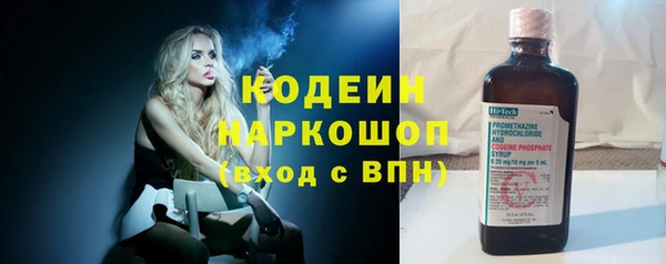 шишки Абаза