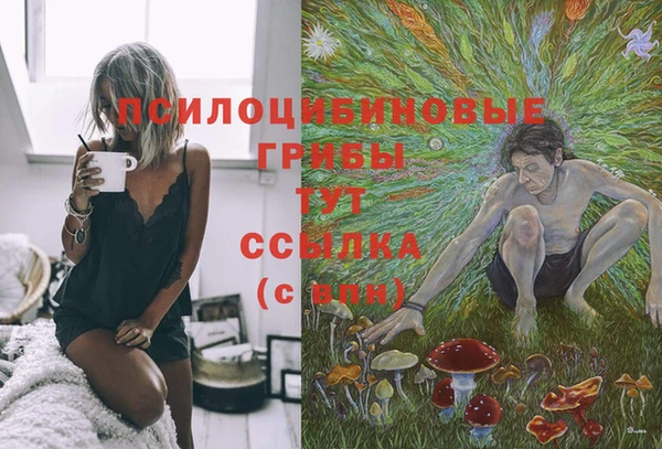 марки nbome Алзамай
