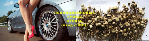 марки nbome Алзамай