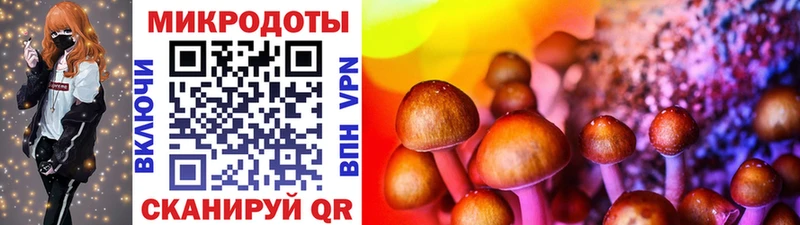 купить наркотик  KRAKEN   Галлюциногенные грибы MAGIC MUSHROOMS  Духовщина 